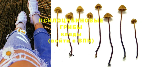 MESCALINE Мегион