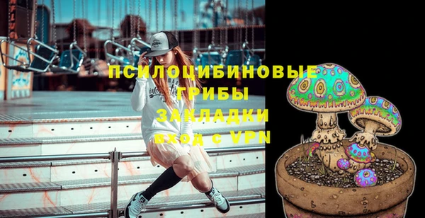 бошки Медногорск
