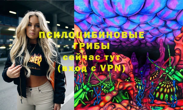 альфа пвп Медвежьегорск