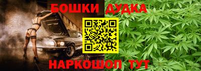 крисы Сосновый Бор