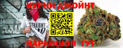 гашик Кингисепп