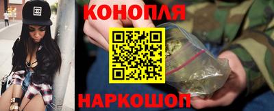 гашик Кингисепп