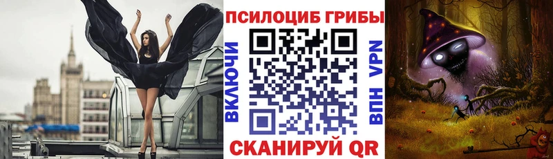 купить наркоту  Кушва  Псилоцибиновые грибы Magic Shrooms 
