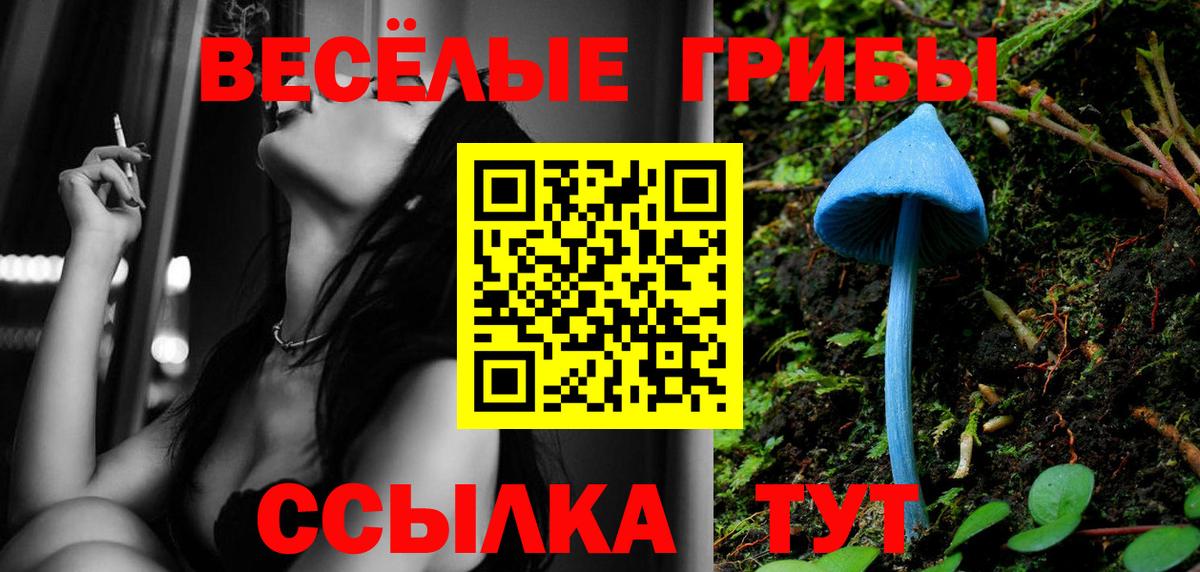 Галлюциногенные грибы мухоморы  Псилоцибиновые грибы Psilocybine cubensis  Вход с VPN  Кушва 